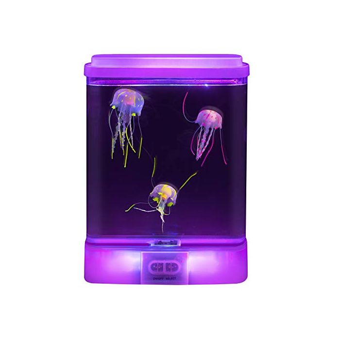 Jellyfish Aquarium 