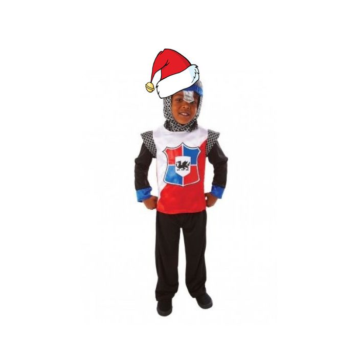Knight of the Realm Costume Knight of the Realm Costume